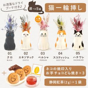 誕生日 プレゼント 女性 猫 猫グッズ お祝い...の詳細画像2