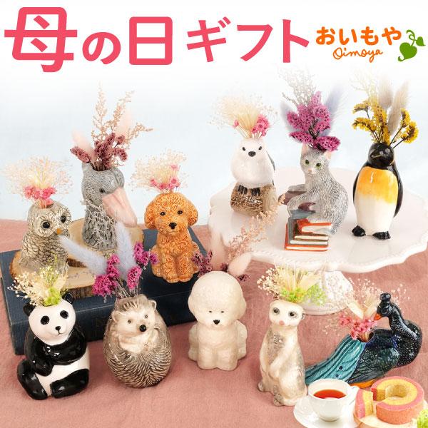 母の日 ギフト プレゼント 2026 花 一輪挿し 動物 お菓子 花とスイーツ スイーツ ドライフラ...