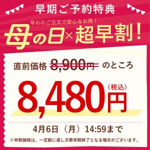 母の日 花 盆栽 ギフト 2026 プレゼント...の詳細画像1