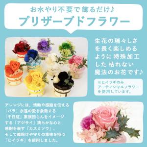 誕生日 プレゼント 女性 母 ギフト 花 お菓...の詳細画像5