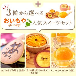 母の日 ギフト あじさい 花 2026 鉢植え...の詳細画像3