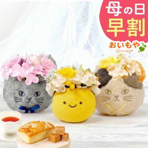 母の日 猫 花 ソープフラワー ギフト プレゼント 2026 早割 ねこ 猫好き ハチ 花とスイーツ スイーツ シャボンフラワー お菓子 50代 60代 70代
