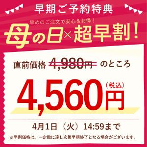 母の日 ギフト プレゼント 2026 早割 花...の詳細画像1