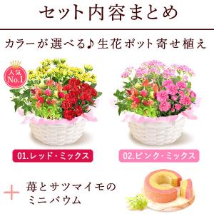 母の日 花 ギフト プレゼント スイーツ 早割...の詳細画像3