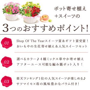 母の日 花 ギフト プレゼント スイーツ 早割...の詳細画像4
