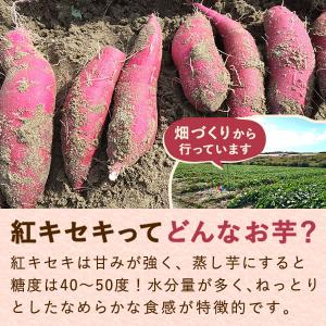 お試しセット 送料無料 二代目干し芋(ほしいも...の詳細画像5