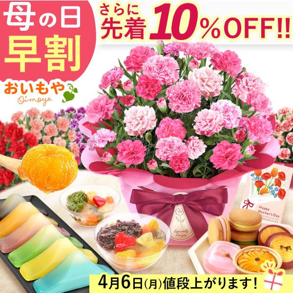 母の日 ギフト 花 2026 カーネーション プレゼント 鉢植え 早割 スイーツ 花とスイーツ 5号...