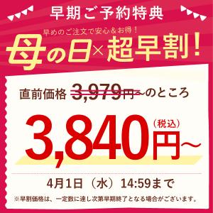 母の日 ギフト 花 カーネーション 2026 ...の詳細画像1