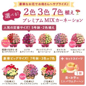 母の日 ギフト 花 カーネーション 2026 ...の詳細画像3