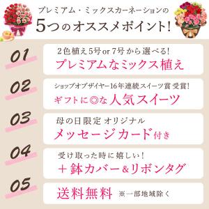 母の日 ギフト 花 カーネーション 2026 ...の詳細画像4