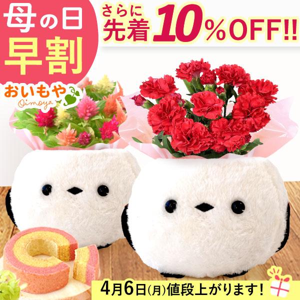 母の日 花 ギフト プレゼント 早割 シマエナガ 花とスイーツ スイーツ 2026 鉢植え アニマル...