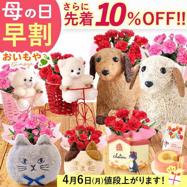 母の日 ギフト 2026 花 カーネーション プレゼント 早割 花とスイーツ スイーツ セット 鉢植...