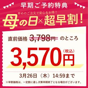 母の日 ギフト 2026 花 カーネーション ...の詳細画像1