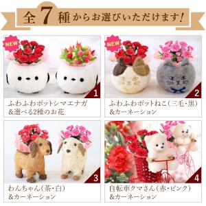 母の日 ギフト 2026 花 カーネーション ...の詳細画像3