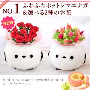 母の日 ギフト 2026 花 カーネーション ...の詳細画像5