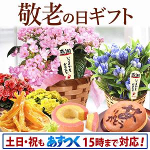 母の日プレゼント ギフト ランキング mothersday ...