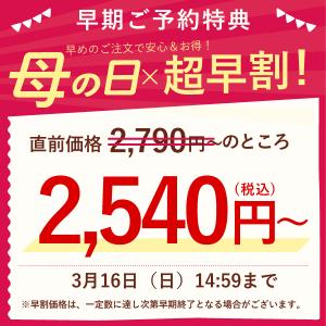 母の日 ギフト プレゼント 2026 早割 花...の詳細画像1