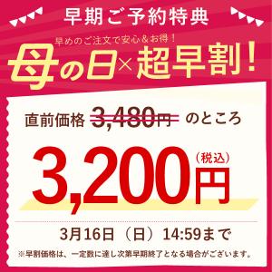 母の日 ギフト プレゼント 2026 早割 花...の詳細画像1
