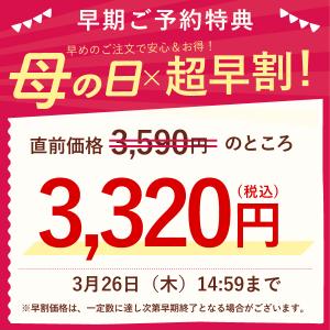 母の日 ギフト プレゼント 2026 早割 花...の詳細画像1