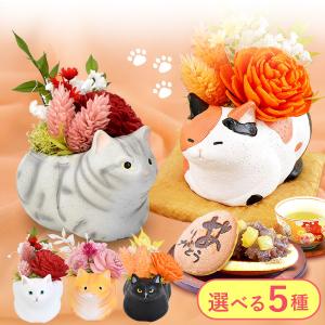 誕生日 プレゼント 猫 猫好き 花 ギフト 花と...の商品画像