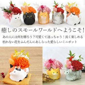 誕生日 プレゼント 猫 猫好き 花 ギフト 花...の詳細画像4