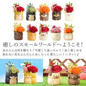 誕生日 プレゼント 女性 ギフト 犬 ソーラー...の詳細画像4