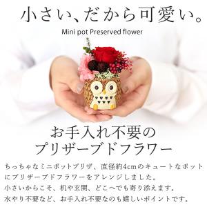 お年賀 2026 和菓子 お菓子 干支 午 馬...の詳細画像3