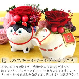 お年賀 2026 和菓子 お菓子 干支 午 馬...の詳細画像4