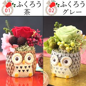 お年賀 2026 和菓子 お菓子 干支 午 馬...の詳細画像5