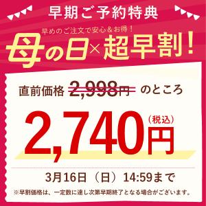 母の日 ギフト プレゼント 早割 2026 花...の詳細画像1
