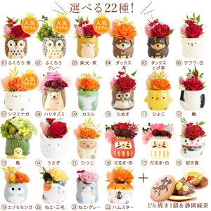 母の日 ギフト プレゼント 早割 2026 花...の詳細画像3