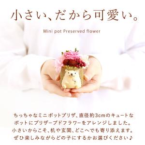 母の日 ギフト プレゼント 早割 2026 花...の詳細画像4