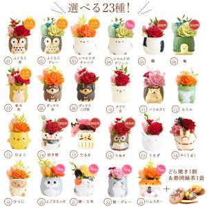 敬老の日 プレゼント ギフト 2026 早割 ...の詳細画像1