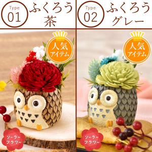 敬老の日 プレゼント ギフト 2026 早割 ...の詳細画像2