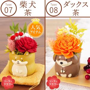 敬老の日 プレゼント ギフト 2026 早割 ...の詳細画像5