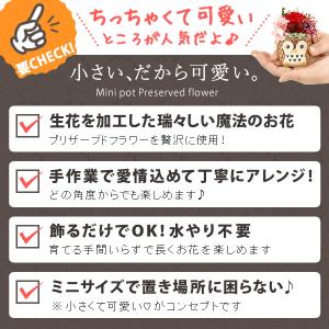 母の日 ギフト プレゼント 2026 花 お菓...の詳細画像3