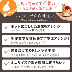 敬老の日 プレゼント 70代 祖母 ギフト 花...の詳細画像3
