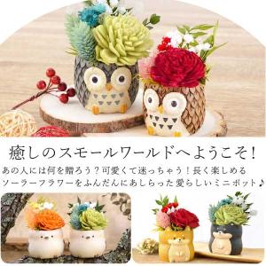 敬老の日 プレゼント 70代 祖母 ギフト 花...の詳細画像4