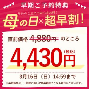 母の日 ギフト プレゼント 2026 早割 花...の詳細画像1