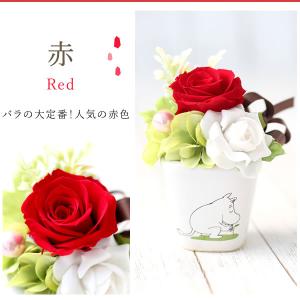 誕生日 プレゼント お祝い ギフト 花 ムーミ...の詳細画像4