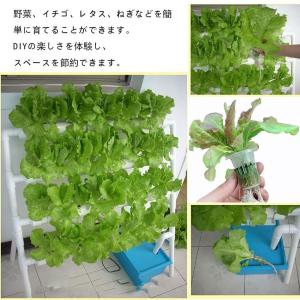 水耕栽培キット すいこう栽培キット いちご 野...の詳細画像1