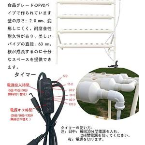 水耕栽培キット すいこう栽培キット いちご 野...の詳細画像5