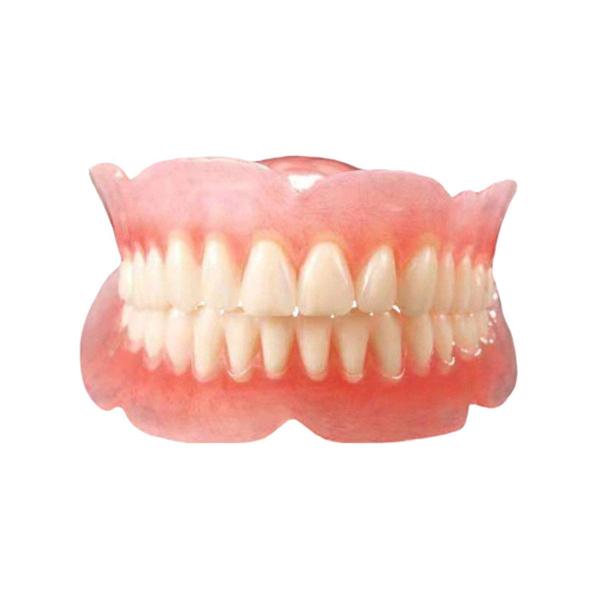歯科モデル1：1歯のシミュレーションモデル-歯の教育研究のための教育準備実践口腔義歯モデル-