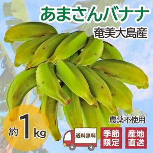 あまさんバナナ 1kg  奄美大島 島バナナ 国産バナナ 無農薬 ご自宅用｜oira-yshop