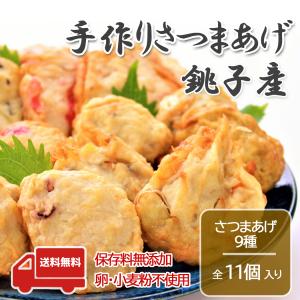 さつま揚げセット11個入り 銚子池永蒲鉾店 お歳暮 手作りさつまあげ サメ 卵アレルギー対応 つまみ｜oira-yshop