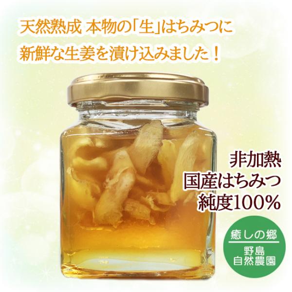 天然はちみつ生姜 国産 純粋 非加熱 無添加 純度100％ 生蜂蜜 しょうが 野島養蜂場 140g