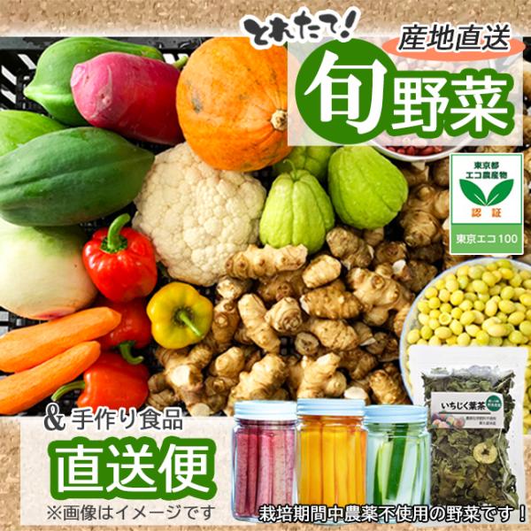 野菜セット10品目 旬の野菜と手作り食品詰め合わせ 無農薬・化学肥料不使用 東久留米野島自然農園