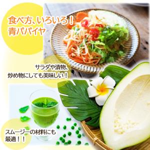 青パパイヤ 喜界島産 奄美 国産野菜 酵素ダイ...の詳細画像5