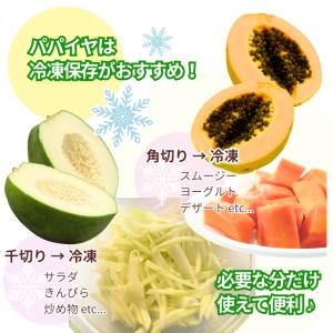 青パパイヤ 喜界島産 奄美 国産野菜 酵素ダイ...の詳細画像4