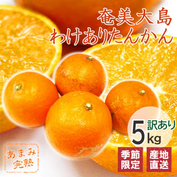 【訳あり】奄美大島 完熟たんかん 5kg | ご家庭用サイズ不揃い お得
